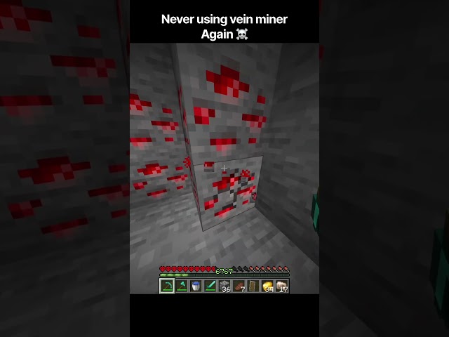 Never using vein miner ☠️