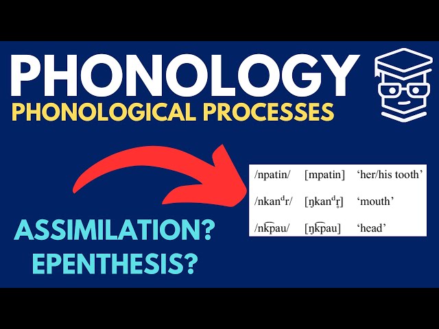 Phonological Processes (Assimilation, Dissimilation, Epenthesis...)