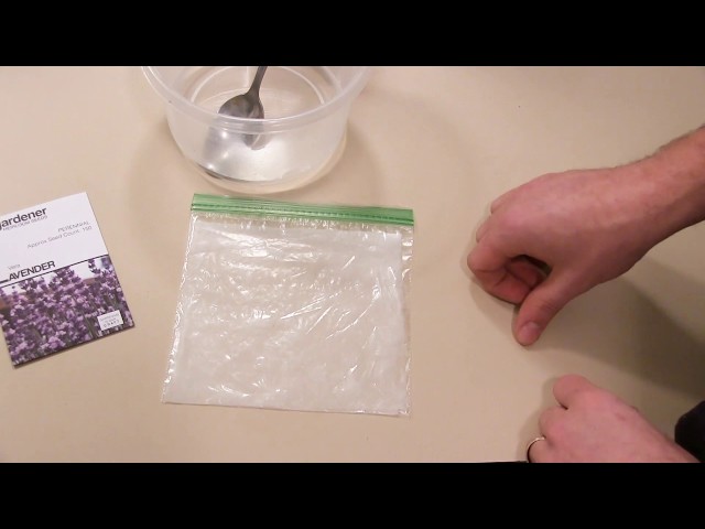 How and Why to Stratify Seeds - What is it & What Seeds Need It?
