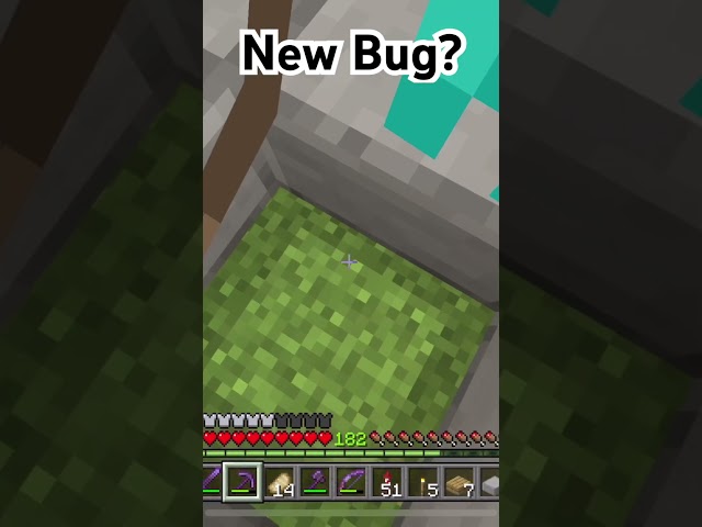 New 1.21 Bedrock Bug? #minecraft