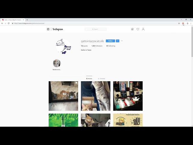 Export Instagram Followers to Excel Easily Using Available Tools and Data Extraction Methods