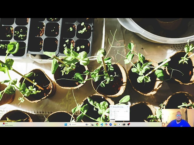 WDD 430: Week 12: Final Project create an application of your choice with this same MEAN stack