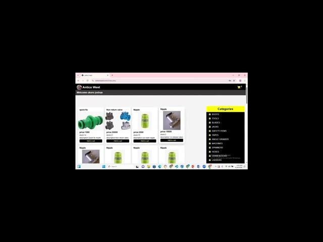 Web development 