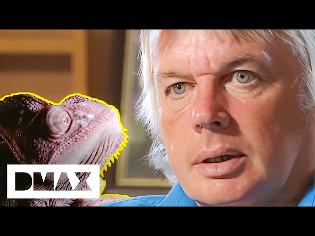 David Icke And The Alien Reptilian Illuminati Conspiracy | World's Strangest UFO Stories
