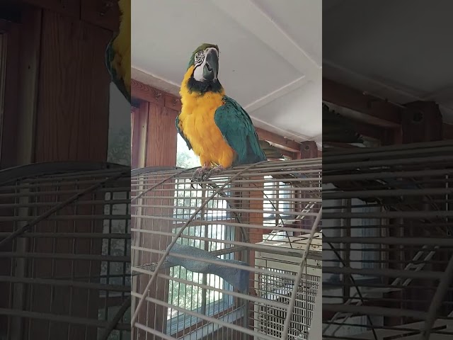 Shower time!