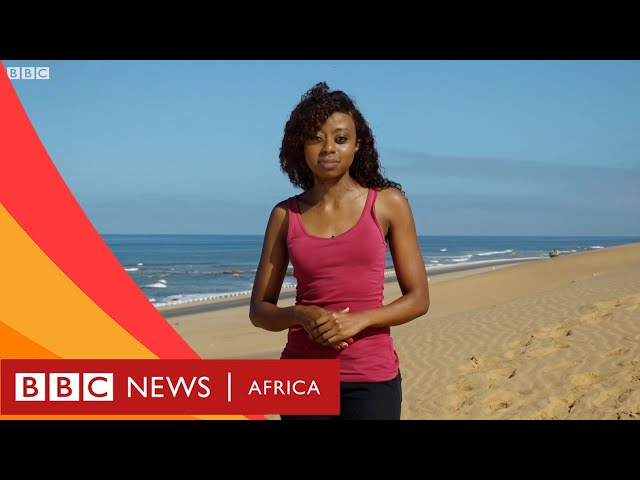 Climate change in the Namib desert- BBC What's New