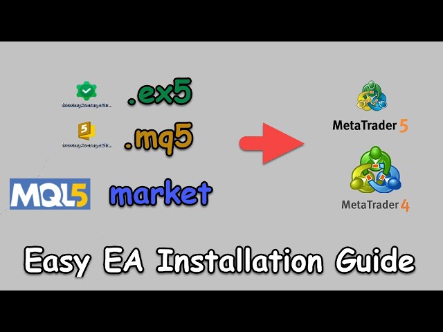 How To Install and Use an EA in the MetaTrader