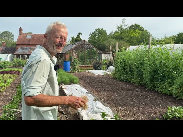 4 Easy Composting Methods to Transform Waste into Rich Mulch & Potting Mix | No Dig Gardening Tips