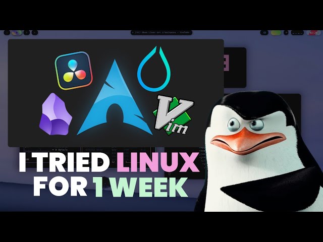 I tried Arch Linux for a week, it was terrible but amazing