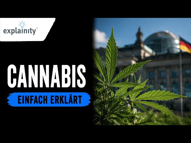 Cannabis explained simply (explainity® explainer video)