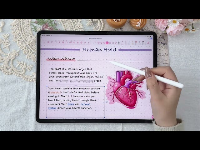 Apple Intelligence +