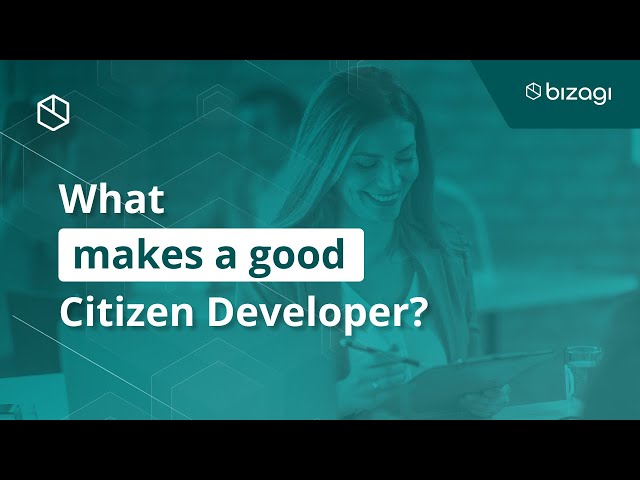 What makes a good Citizen Developer?