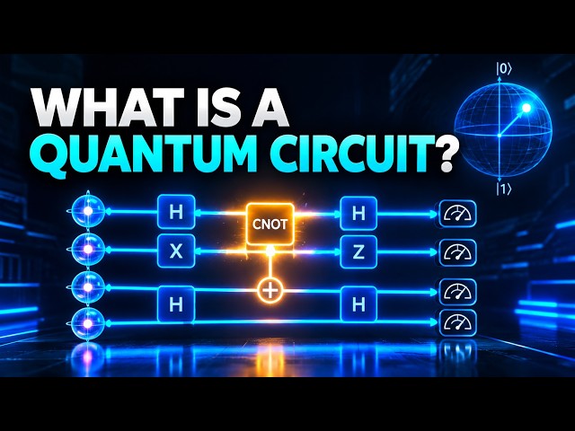 Quantum Circuits: How Do Quantum Programs Work? | Beginner’s Guide