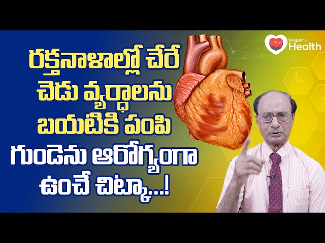Arteries | రక్త నాళాల్లో చెడు వ్యర్ధాలను బయటికి పంపి గుండె.. Dr. G. Lakshmana Rao | TeluguOne Health
