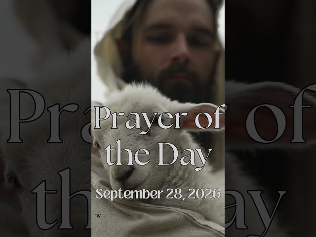 Prayer of the Day | September 28, 2026 #prayer #dailyprayer #jesuslovesyou