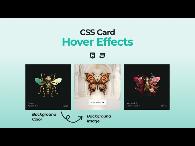 CSS Card Hover Effects | HTML & CSS