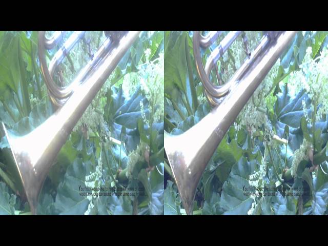 illusion_marie_pospisilova_sbs_1080_p2.mp4