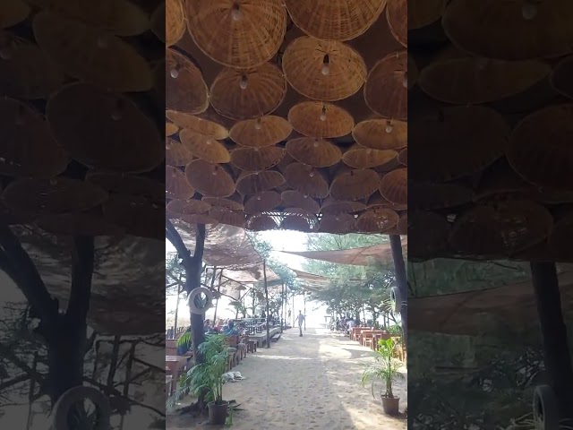 Burger factory Goa #food #travel #goa #beach #beachshak #shorts #shortsfeed