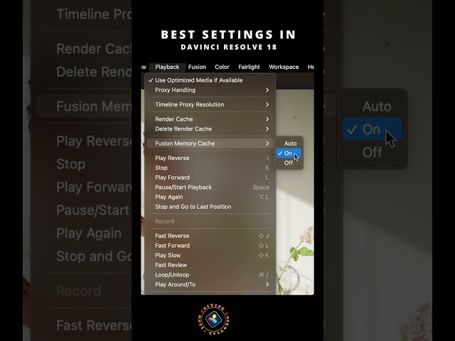 DaVinci Resolve Settings for Smooth Playback and Fast Rendering