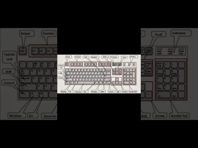 keyboard names in tamil #shortvideo #coding #tamil #python #cs #keyboard #java #html