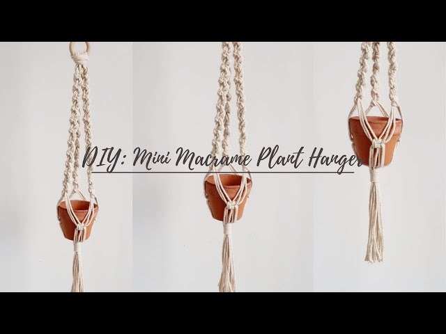 DIY Mini Macrame plant hanger | Easy macrame plant hanger tutorial