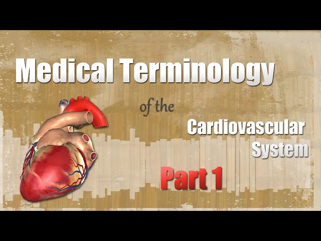 Medical Terminology of the Cardiovascular System Part 1!
