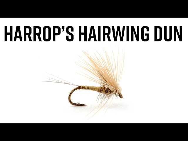 Harrop's Hair Wing Dun