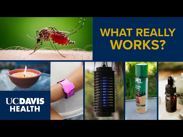 Mosquito Repellent: What Works and What Doesn't? | UC Davis Health