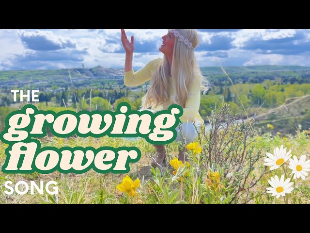 The Growing Flower Song 🌸 | Miss Daisy Smart Start | Preschool Action Song About Nature