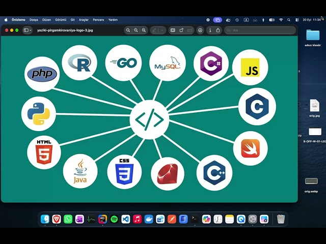 Programming Basics #1 — Frontend, Backend, Databases, Programming Languages & C#