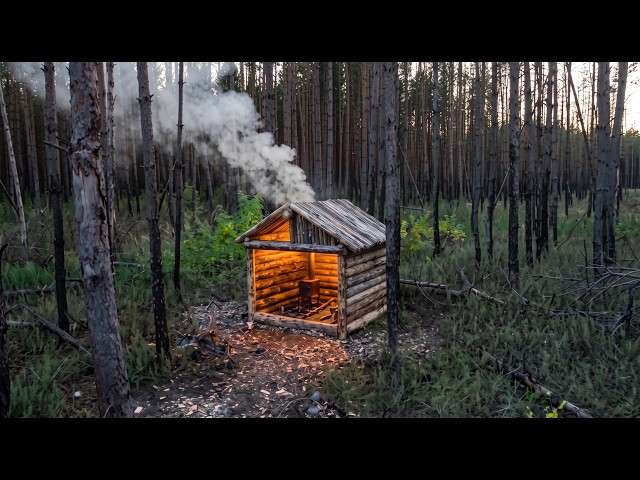 Primitive Log Cabin Building in a Burnt Forest