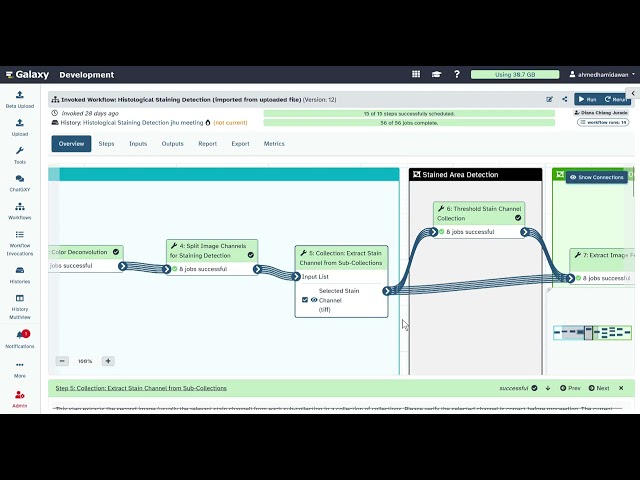 Galaxy 26.1 - View Workflow Step Configuration During Execution
