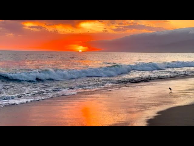 Coastal Sunset Tranquility - 12Hours Calming Wave Sounds for Relaxation, Meditation, Deep Sleeping