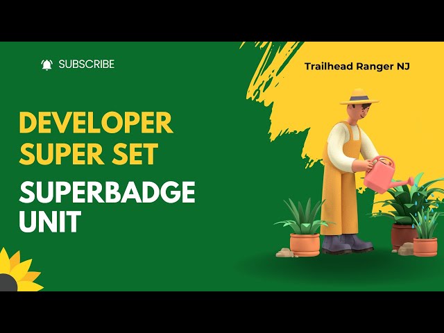 Developer Super Set Superbadge