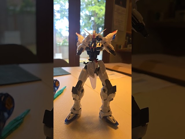 Gundam freedom limited edition