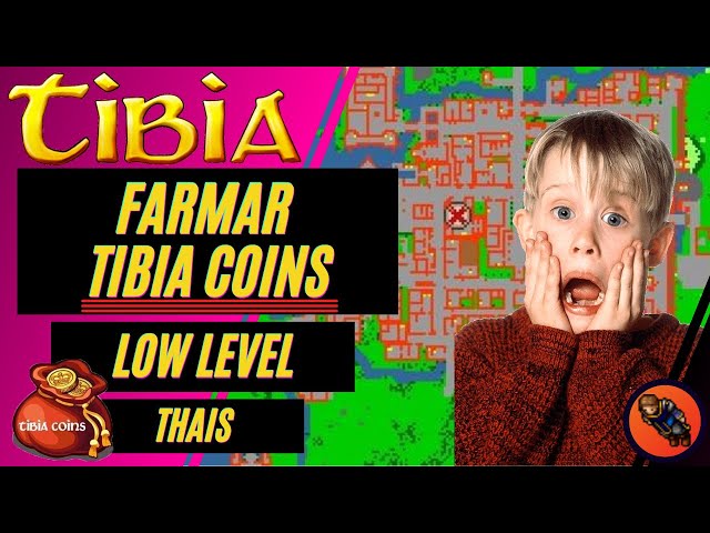 COMO FARMAR TIBIA COINS LOW LEVEL FREE ACCOUNT - THAIS