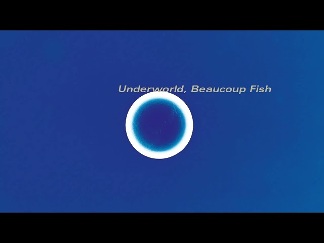 Underworld - Moaner