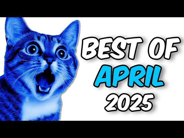 NASHIRANKS BEST OF APRIL! (2025)