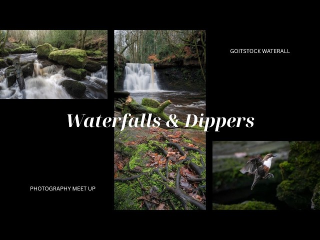Waterfall Photography at Goitstock | Photopeeps Meetup & Wildlife Surprise