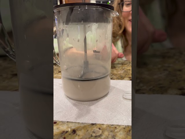 Bodum Latteo Milk Frother Review