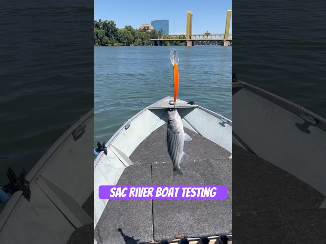 Did some upgrades to my boat. Testing Nissan 40hp and fishing on the Sacramento River. #sacramento