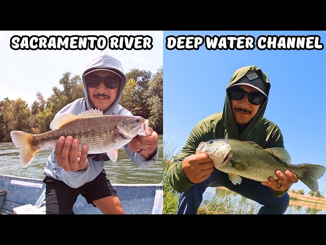 Bass Fishing Sacramento River and Deep Water Channel