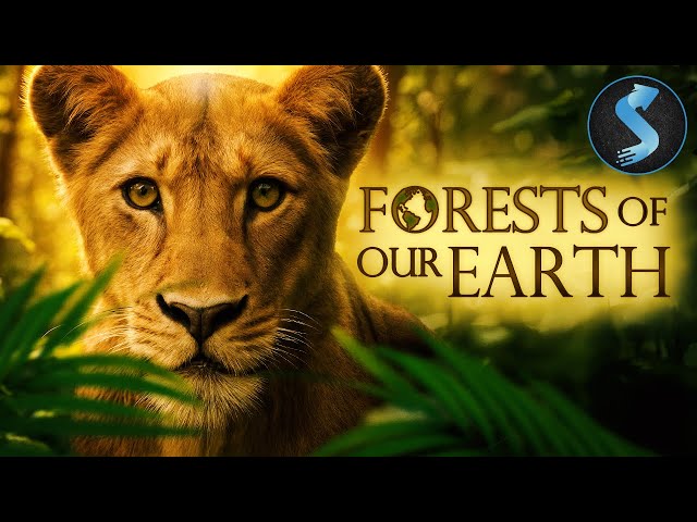 Great Forests That Keep Our Planet Alive | Nature Documentary | Full Movie | Forests of Our Earth