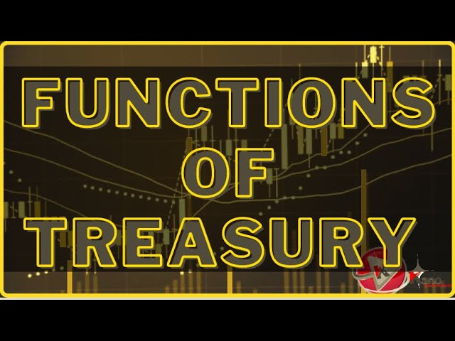 10 Functions of Treasury Explained | Role of Finance Department | Public Finance Now @ConsultKano