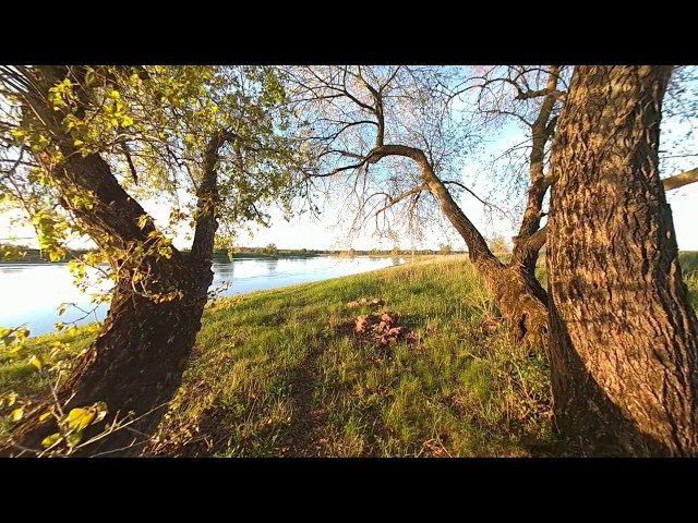 Spring is coming - Elbe at Magdeburg / Lostau - VR180