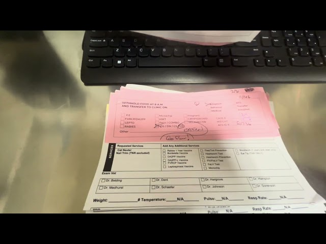 Data Entry