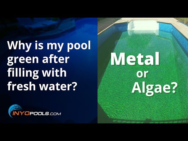 Why is my pool green after filling with fresh water?