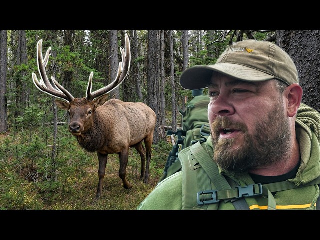 Trent Fisher’s (BRO) BEST Elk Hunting Tips