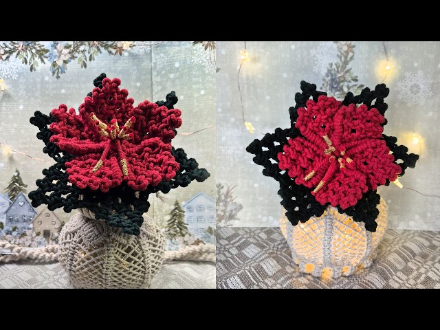 DIY Macramé Christmas Flower | Easy Holiday Decoration Tutorial (Beginner-Friendly!)