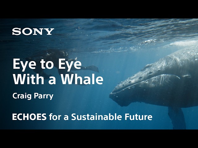 ECHOES | Craig Parry | Sony